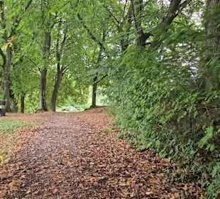 Premiumwanderweg „hochgehtürmt"