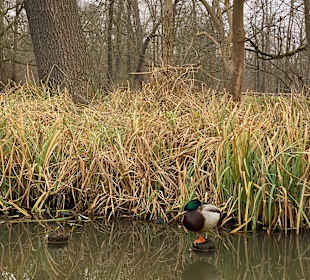 Wandern Burg (Spreewald)