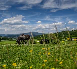 Wandern Rabenstein-Bodenmais