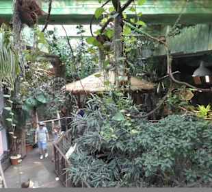Im Tropicarium.