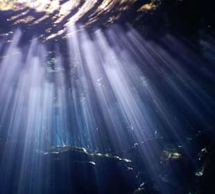 Cenote unter Wasser (Taucher)