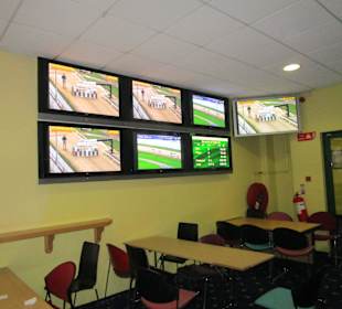 Windhundrennen Tralee