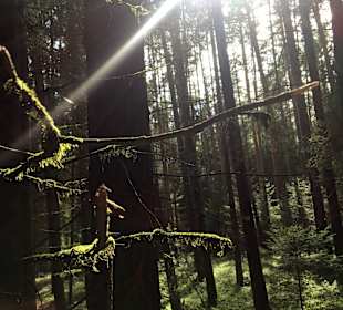 Wandern Herrieden