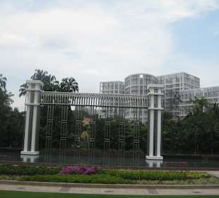 Kleiner Teich am Straßenrand