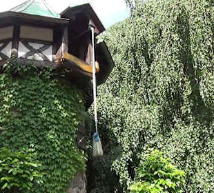 Themenbereich Märchenwald