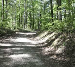 Wanderweg Hochgehwachsen