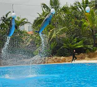 Hat man sowas schon in der Natur gesehen?