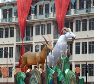 Nadchodzący rok owcy/kozy