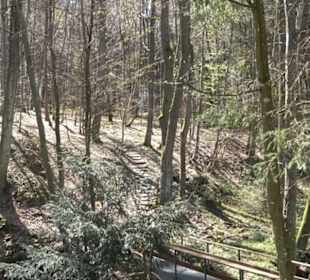 Wanderung Florianrunde