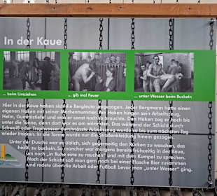 Die Kaue 