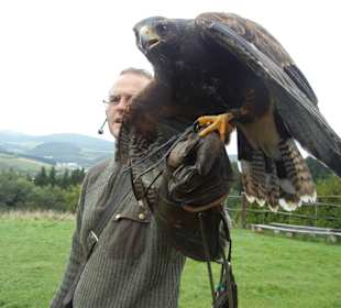 Vogelshow Falknerei