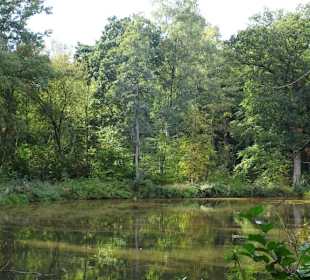 Am See des Delmenhorster Tiergartens