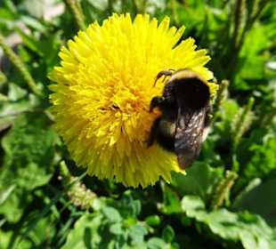 Wanderung durch die Kleine Luxemburger Schweiz