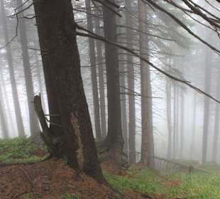 Natur