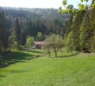 Am Ende der Schlucht