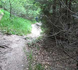 Barfußpfad Tieringen
