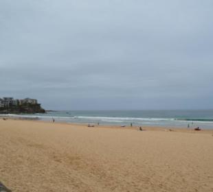 Manly Beach