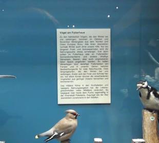 Naturkundemuseum