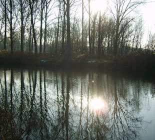 Eisige Sonne am Morgen