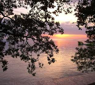 Zelena Laguna