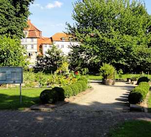 Impressionen aus dem Interkulturellen Garten