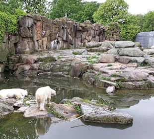 Zoo
