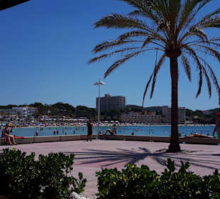 Strand Paguera/Peguera