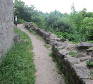 Burgruine Hoh-Andlau