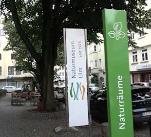 Naturmuseum Ulm