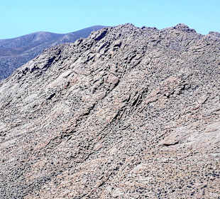 Tagesausflug Inselrundfahrt