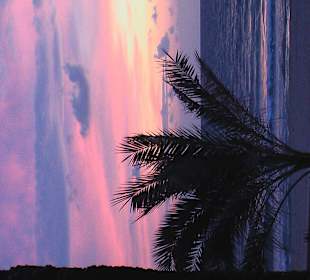 Traumhafte Abendstimmung - Walken mit Genuss