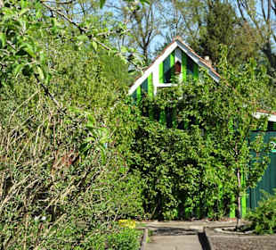 Rundgang durch die Dauerkolonie Annateich