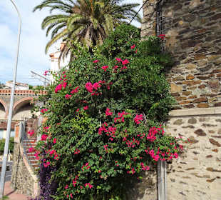 Impressionen aus der Altstadt von Cerbère