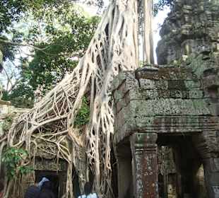 Angkor wat