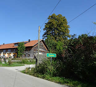 Allgäuer Kräutergarten artemisia