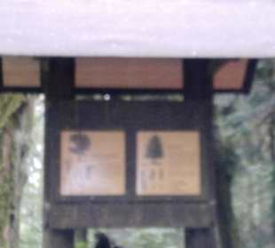 Tafeln im Wald Beschreibung
