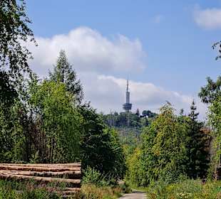 Wandern Bad Sachsa