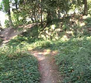 Leibfriedscher Garten