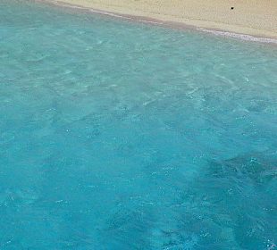 Das Wasser ist glasklar