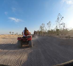 Quad Tour Nabq Bay