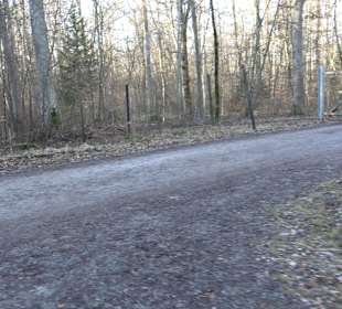 Wanderung rund um den Ochsenweiher