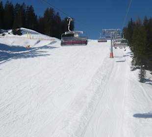 Zwieselalm