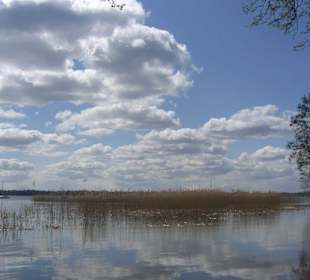 Sztynort - widok na jezioro dargin