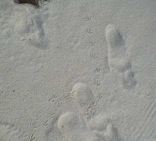 Ausflug mit Mario von Edelweiss Tours