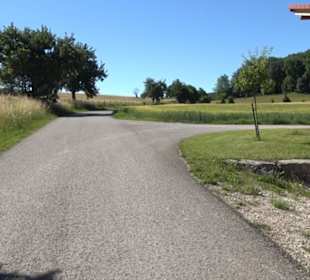 Waldameisen-LehrPfad