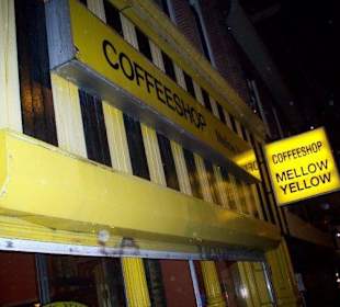 Vacaciones perfectas con amigos