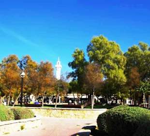 Parkanlagen direkt am Strand