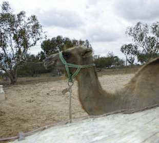 Tierpark Friguia