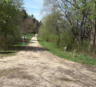 Arboretum