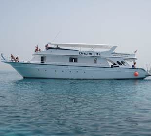 Das neue Schiff "Dream Life"